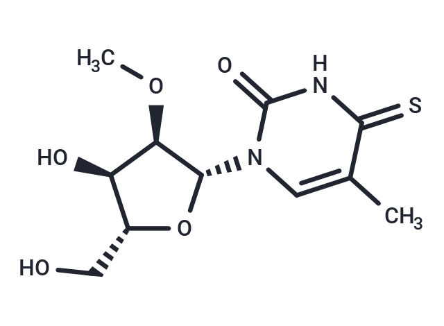 2’-O-Methyl-5-methyl-4-thiouridine