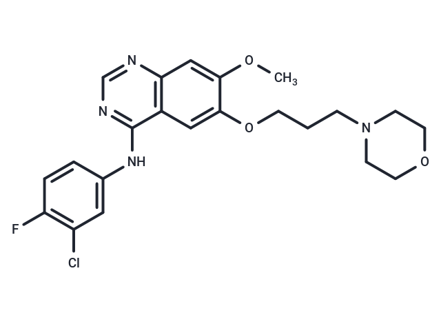 Gefitinib