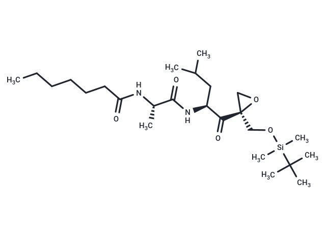 UK-101