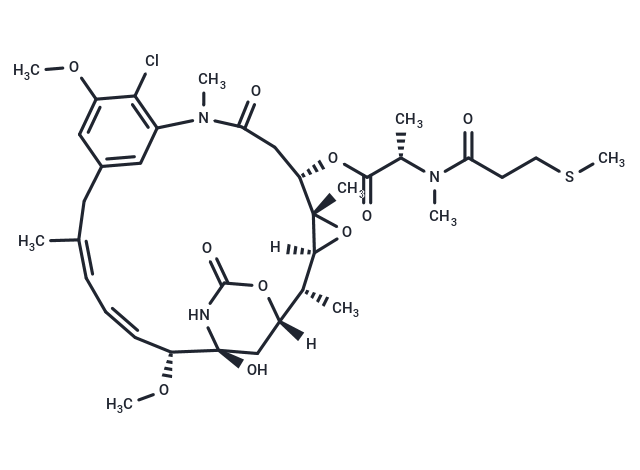 S-methyl DM1