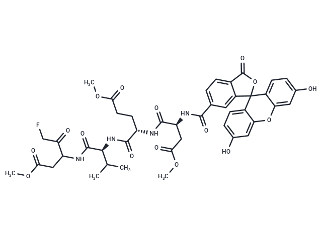 Fluorescein-6-carbonyl-Asp(OMe)-Glu(OMe)-Val-DL-Asp(OMe)-fluoromethylketone