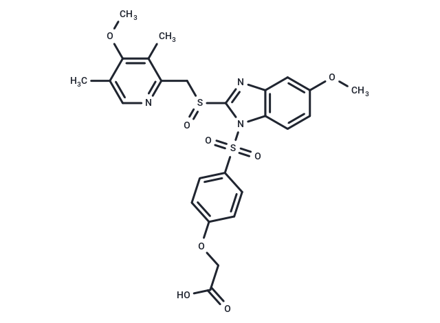 AGN-201904