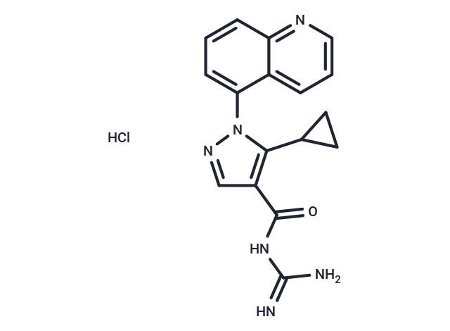 Zoniporide hydrochloride