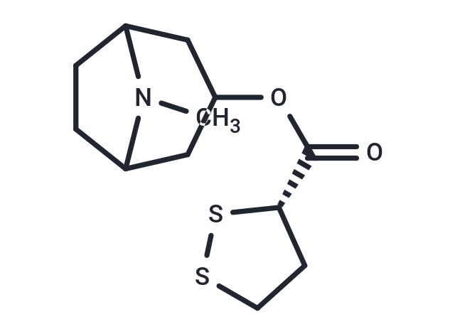 Brugine