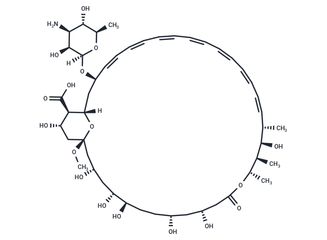 Amphotericin X1