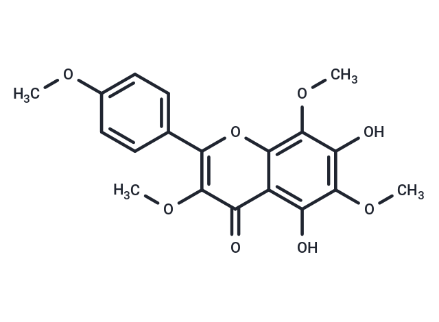 Araneosol