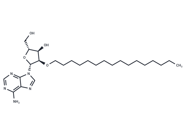 2’-O-Hexadecanyl adenosine