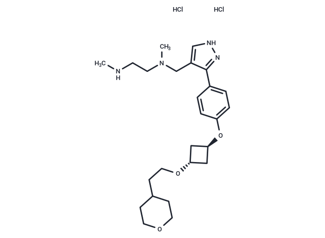 EPZ020411 2HCl (1700663-41-7(free base))