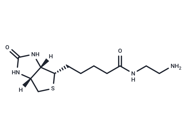 Biotin Eda Protac Linker Targetmol