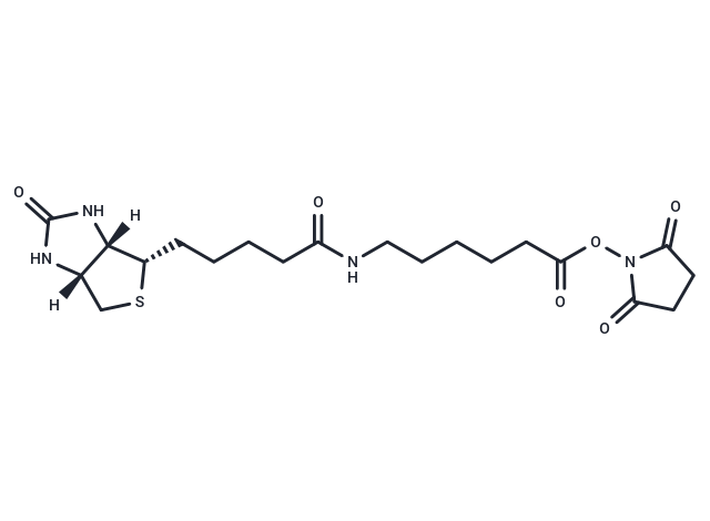 Biotin-C5-NHS Ester