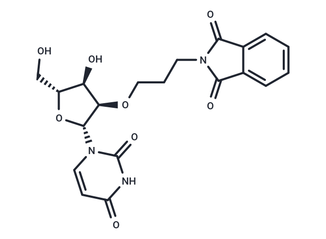 2’-O-Phthalimidopropyl uridine