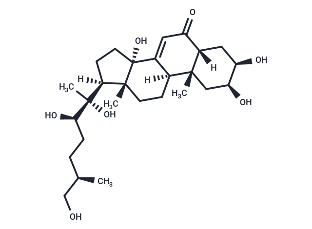 25R-Inokosterone