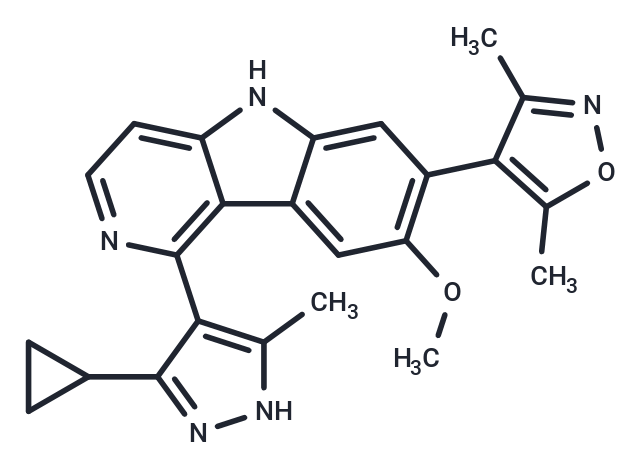 RX-37