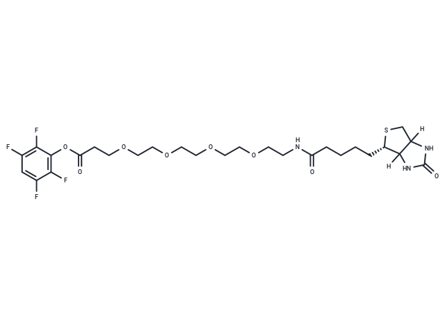 Biotin-PEG4-TFP ester