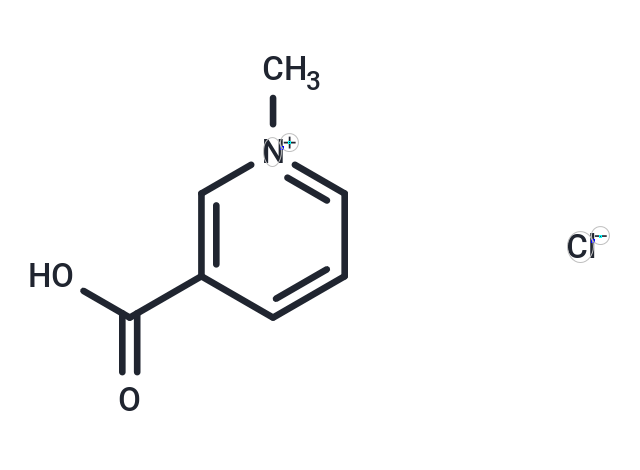 Trigonelline chloride