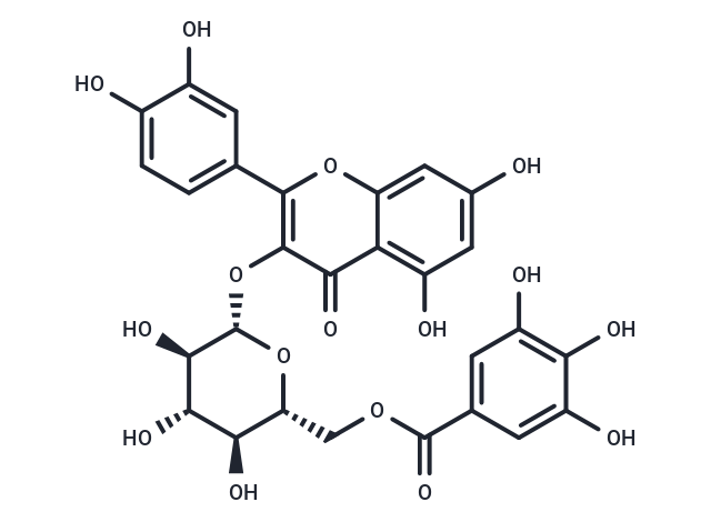 Quercetin 3-O-(6''-O-galloyl)-β-D-glucoside