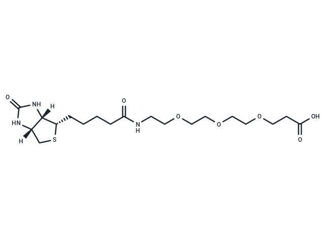 Biotin-PEG3-acid