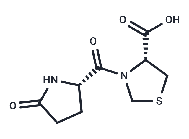 Pidotimod