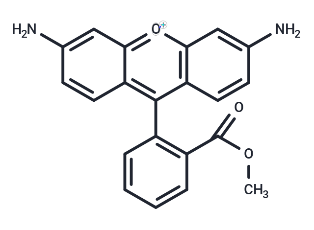 Rhodamine 123 free base