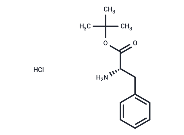 H-Phe-OtBu.HCl