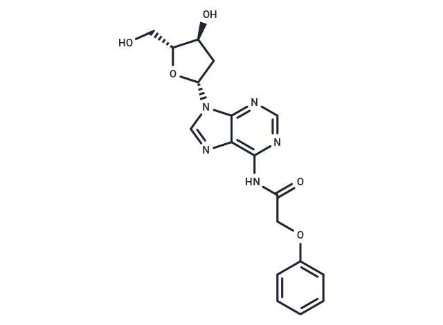 2’-Deoxy-N6-Phenoxyacetyladenosine