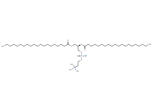 1,2-Diarachidoyl-sn-glycero-3-PC