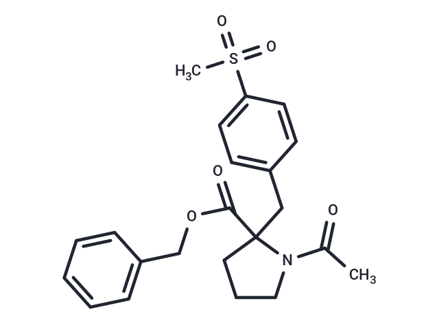 (+)-KCC2 blocker 1