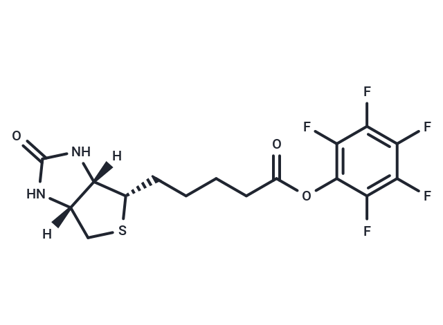 Biotin-PFP ester