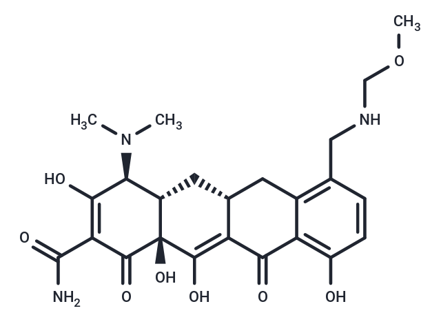 Sarecycline free base