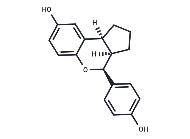 Serba-2