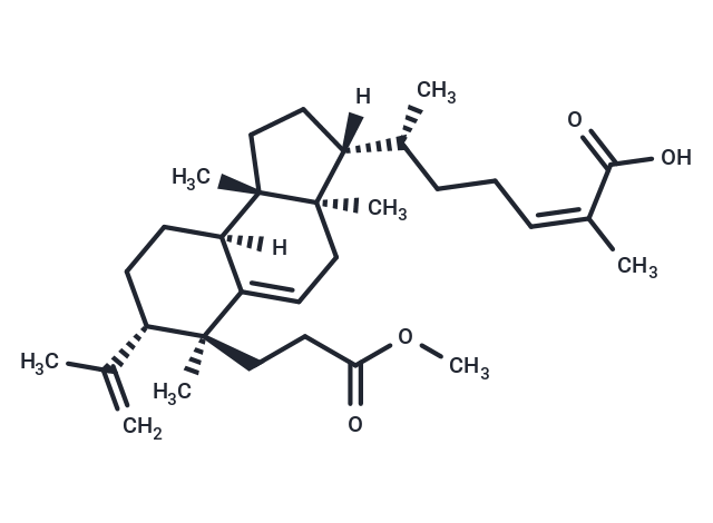 Kadsuric acid 3-methylester