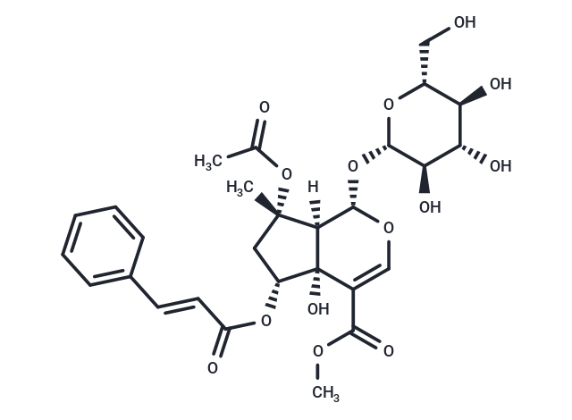 6-O-trans-Cinnamoylphlorigidoside B