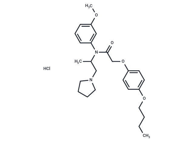 Acetamide, N-(m-anisyl)-2-(p-butoxyphenoxy)-N-(1-methyl-2-(1-pyrrolidinyl)ethyl)-, hydrochloride