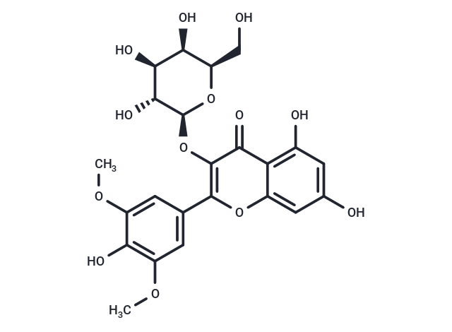 Syringetin 3-O-galactoside