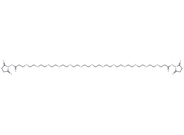 Bis-PEG13-NHS ester