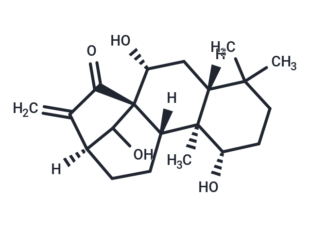 Kamebanin