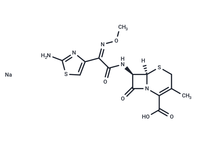 Cefetamet sodium