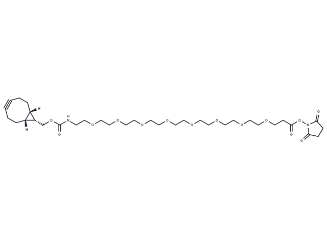 endo-BCN-PEG8-NHS ester