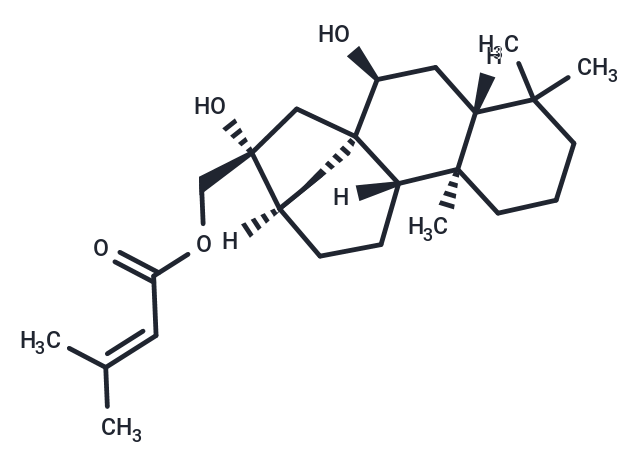 Sculponeatin N