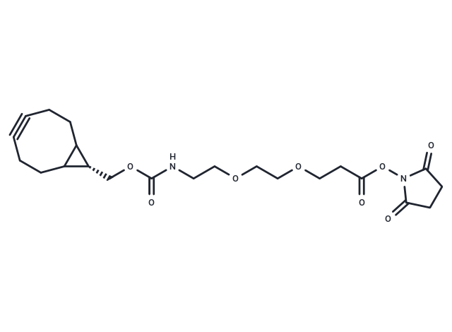 endo-BCN-PEG2-C2-NHS ester