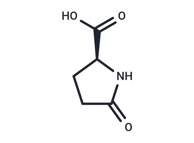 L-Pyroglutamic acid