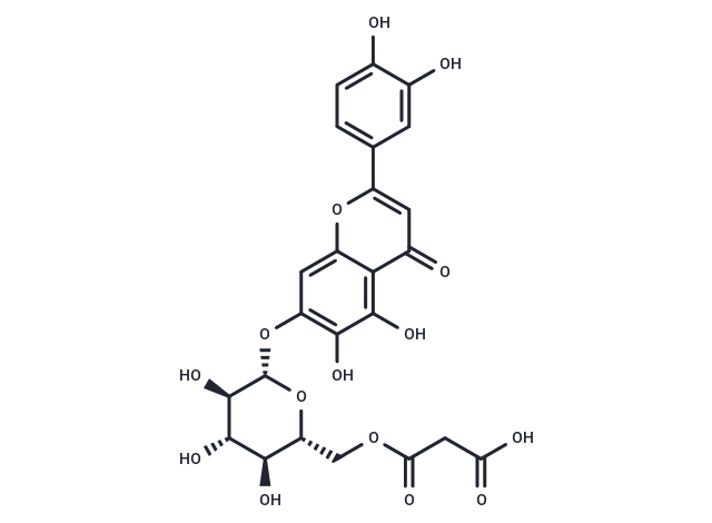 Quercetin 7-O-(6''-O-malonyl)-beta-D-glucoside