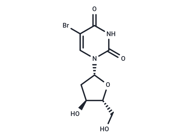 5-BrdU