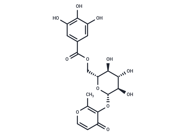 3-O-(6'-O-Galloyl)-β-D-glucopyranosylmaltol