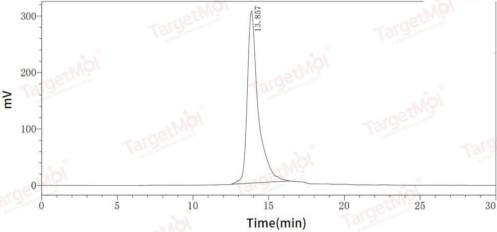 Kallikrein 5/KLK5 Protein, Human, Recombinant (His)