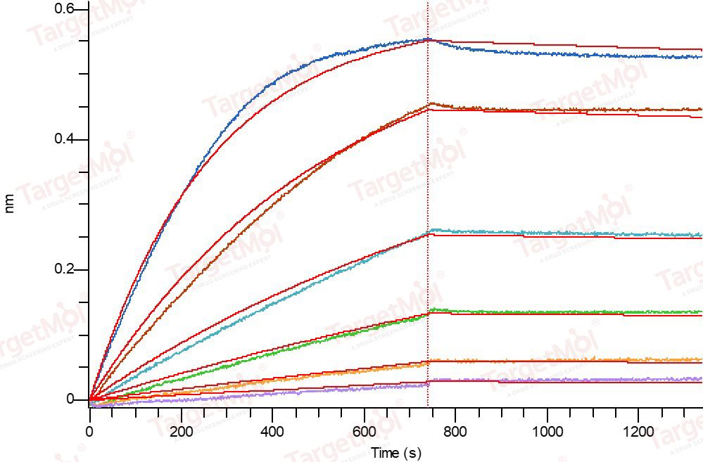 CD47 Protein, Human, Recombinant (His)