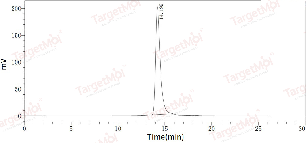 IL-4 Protein, Human, Recombinant (His)