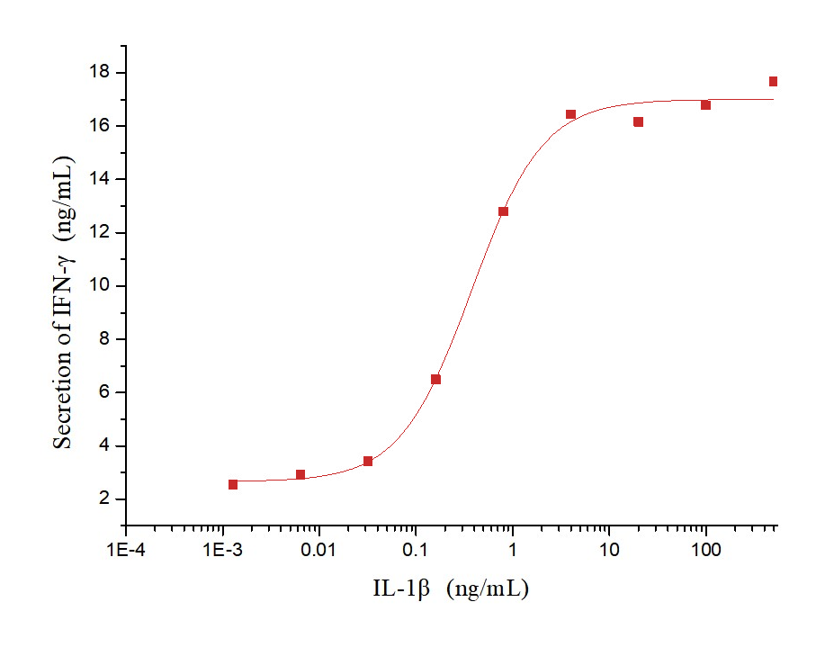 IL-1 beta/IL-1F2 Protein, Rhesus, Recombinant