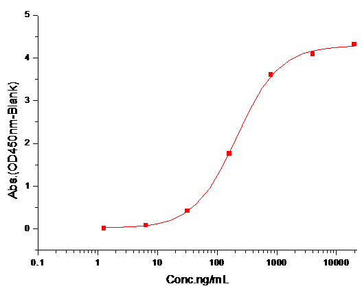 CD47 Protein, Rat, Recombinant (His)