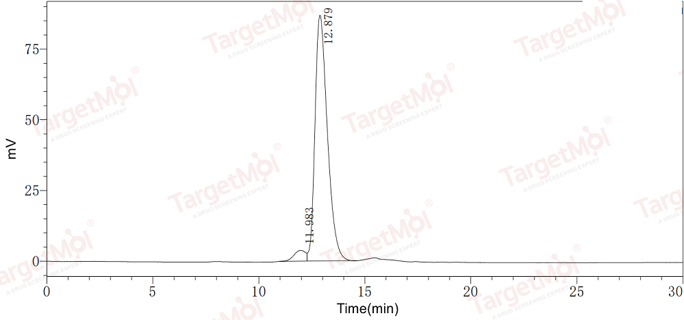 VEGF165 Protein, Human, Recombinant